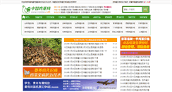 Desktop Screenshot of cnjidan.com